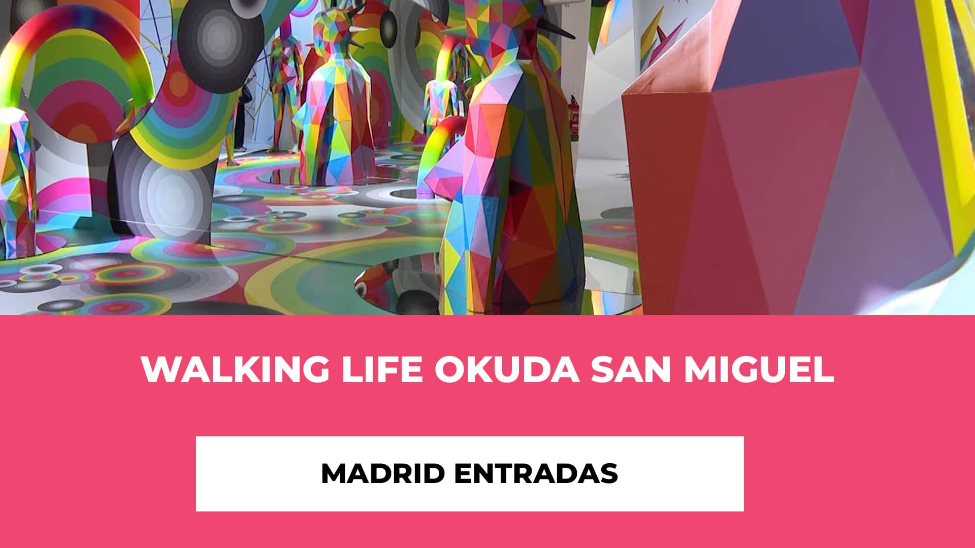 Walking Life Okuda San Miguel Madrid Entradas - Entrada Junior - Reducida - Movilidad Reducida - Pack Familiar