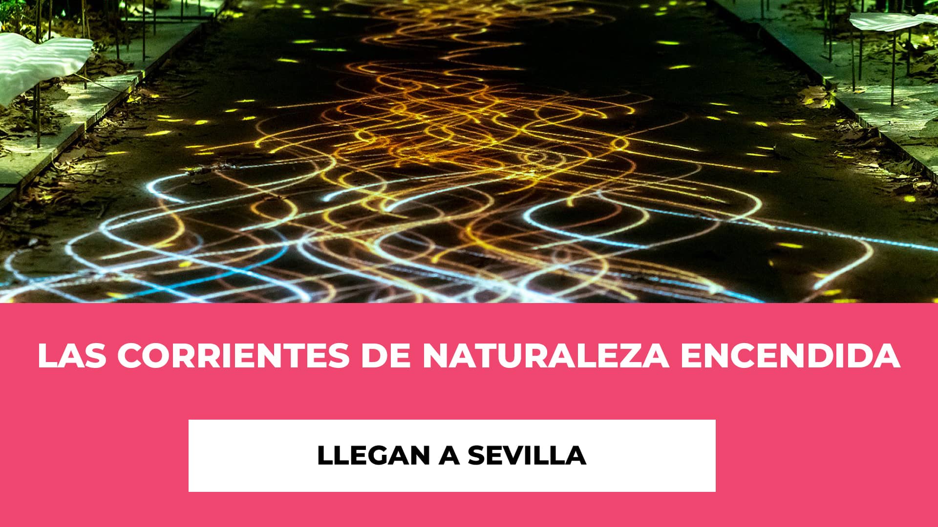Las Corrientes de Naturaleza Encendida llegan a Sevilla - Horario - Fechas - Ubicación - Precios de las entradas - Información Práctica